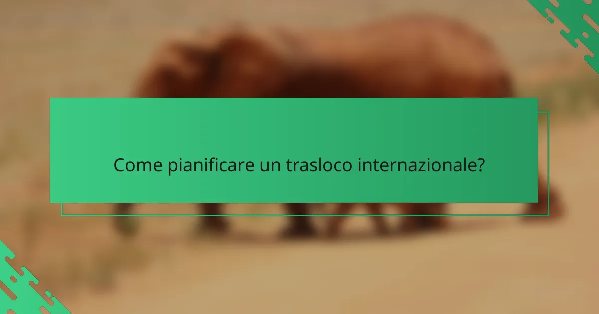Come pianificare un trasloco internazionale?