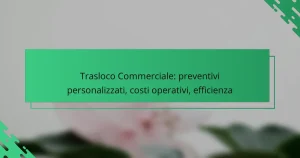 Trasloco Commerciale: preventivi personalizzati, costi operativi, efficienza