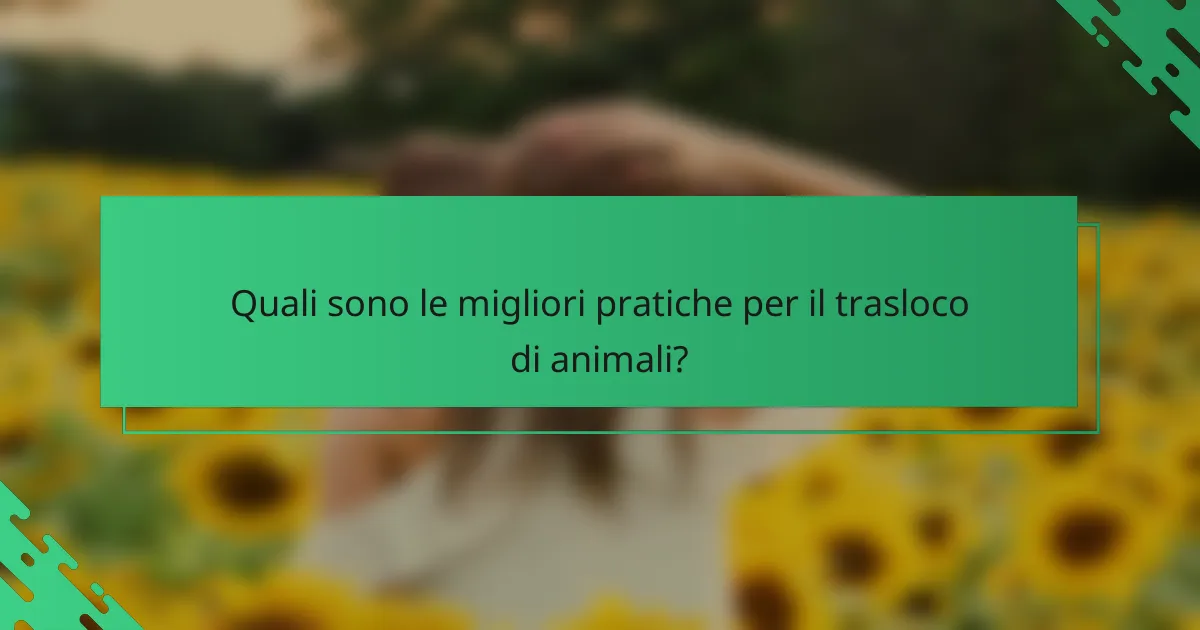 Quali sono le migliori pratiche per il trasloco di animali?